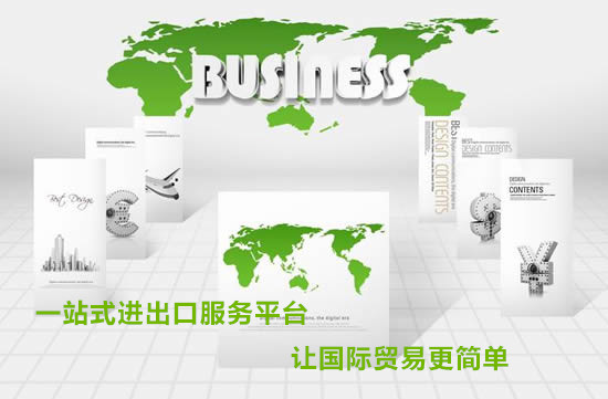 Professional International Shipping Forwarder